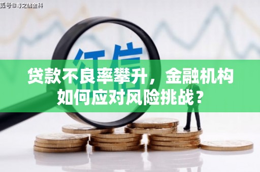 盐田贷款不良率攀升，金融机构如何应对风险挑战？