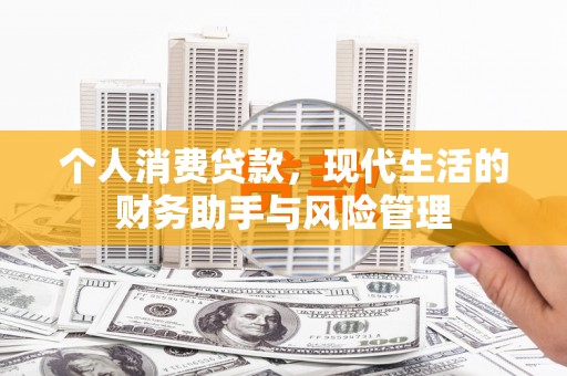 盐田个人消费贷款，现代生活的财务助手与风险管理