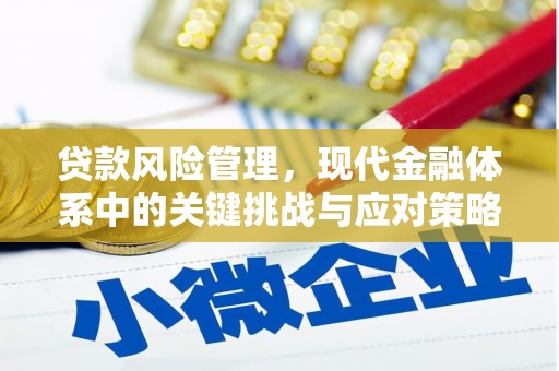 盐田贷款风险管理，现代金融体系中的关键挑战与应对策略