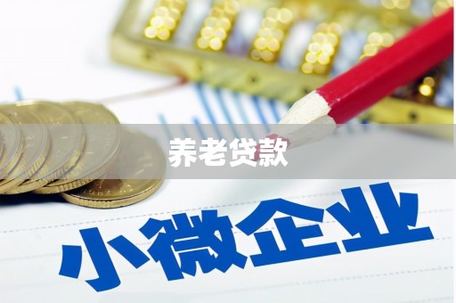 盐田养老贷款