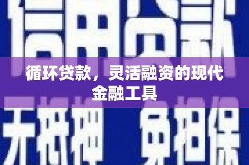 盐田循环贷款，灵活融资的现代金融工具
