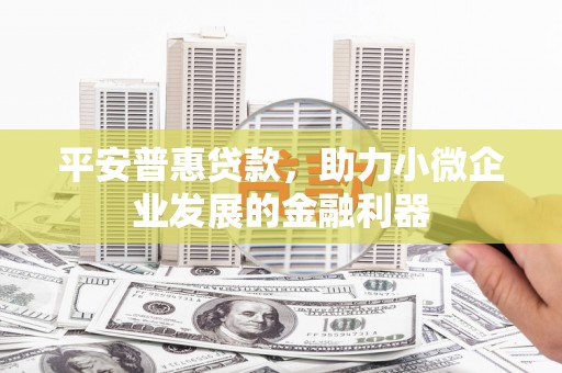盐田平安普惠贷款，助力小微企业发展的金融利器