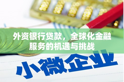 盐田外资银行贷款，全球化金融服务的机遇与挑战