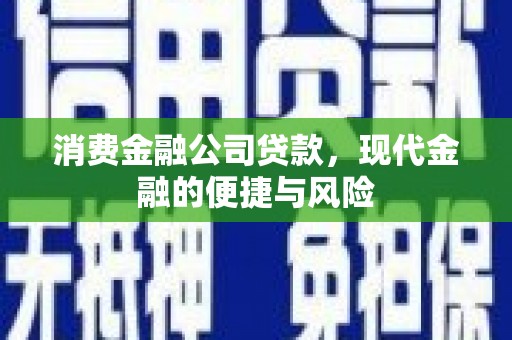 盐田消费金融公司贷款，现代金融的便捷与风险