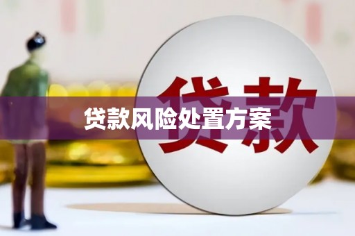 盐田贷款风险处置方案