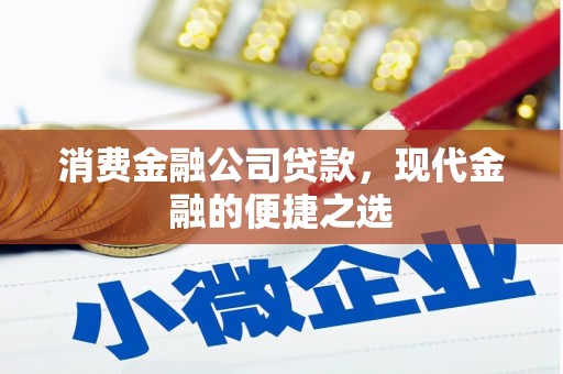 盐田消费金融公司贷款，现代金融的便捷之选