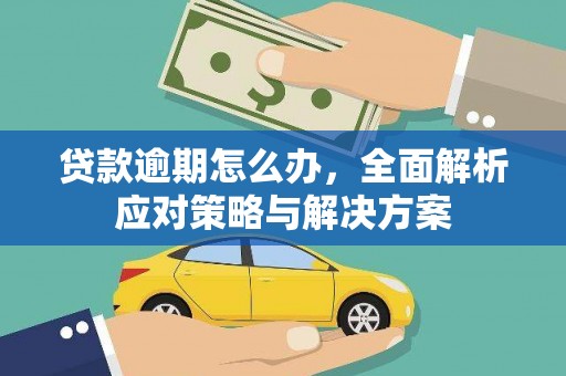 盐田贷款逾期怎么办，全面解析应对策略与解决方案