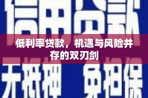盐田低利率贷款，机遇与风险并存的双刃剑