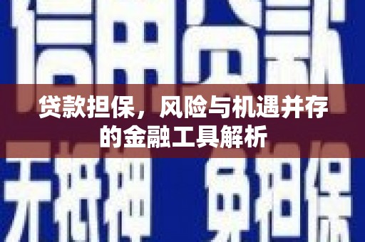 盐田贷款担保，风险与机遇并存的金融工具解析