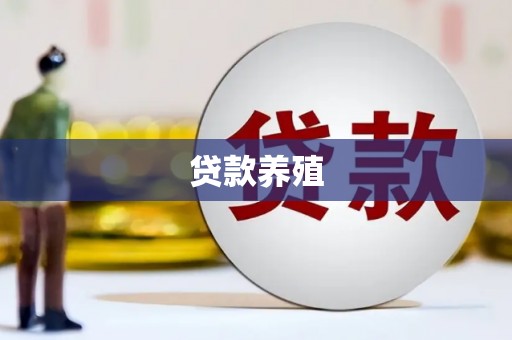 盐田贷款养殖