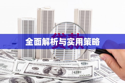 盐田全面解析与实用策略