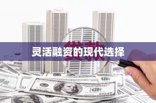 盐田灵活融资的现代选择