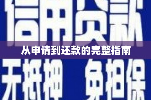 盐田从申请到还款的完整指南