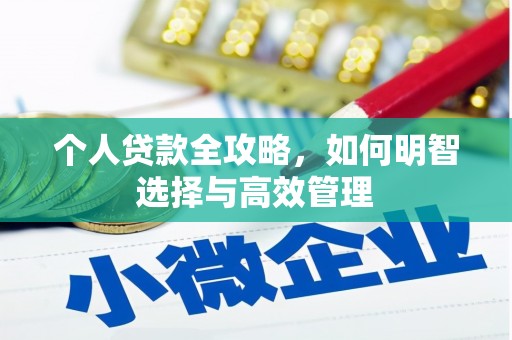盐田个人贷款全攻略，如何明智选择与高效管理