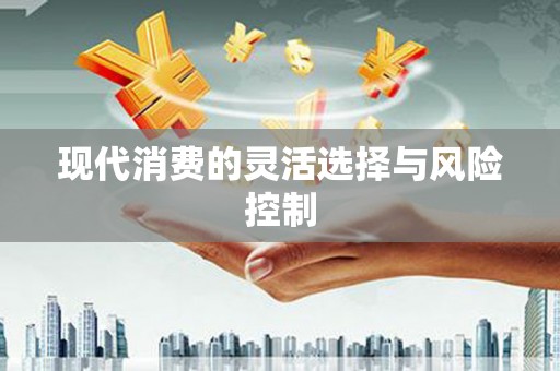 盐田现代消费的灵活选择与风险控制