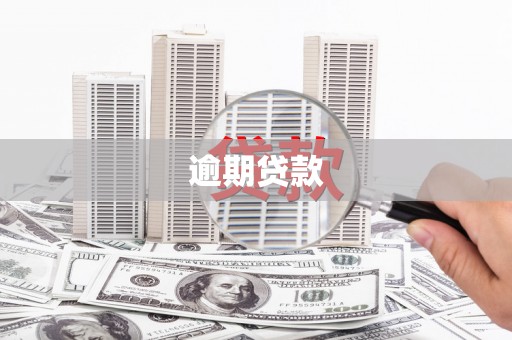盐田逾期贷款