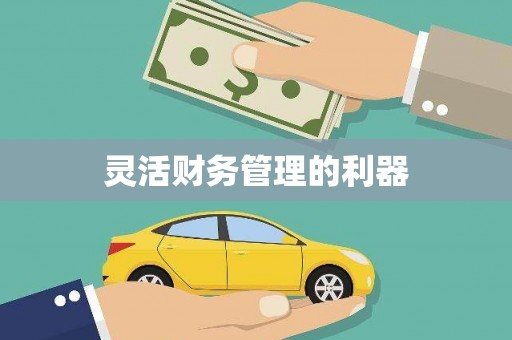 盐田灵活财务管理的利器