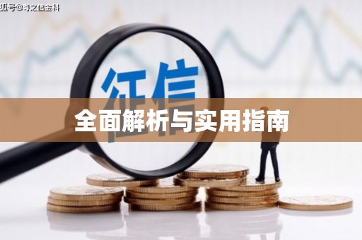 盐田全面解析与实用指南