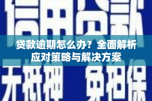 盐田贷款逾期怎么办？全面解析应对策略与解决方案