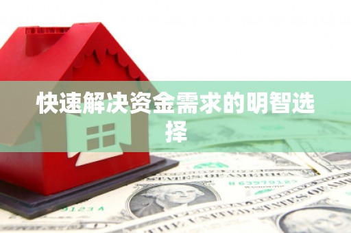 盐田快速解决资金需求的明智选择