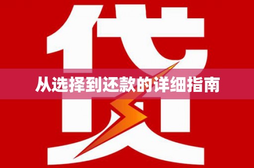 盐田从选择到还款的详细指南