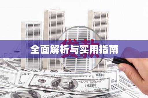 盐田全面解析与实用指南