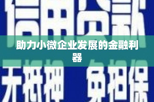 盐田助力小微企业发展的金融利器