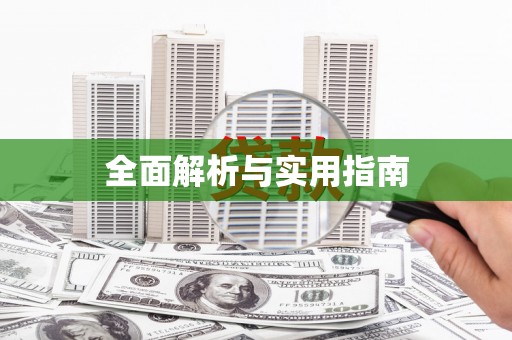 盐田全面解析与实用指南