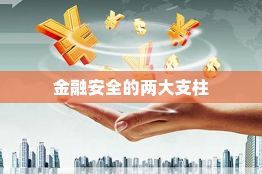 盐田金融安全的两大支柱