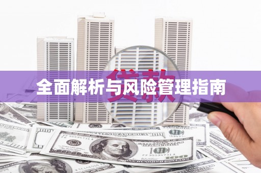 盐田全面解析与风险管理指南