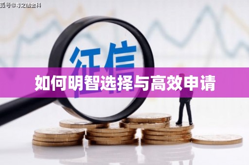 盐田如何明智选择与高效申请
