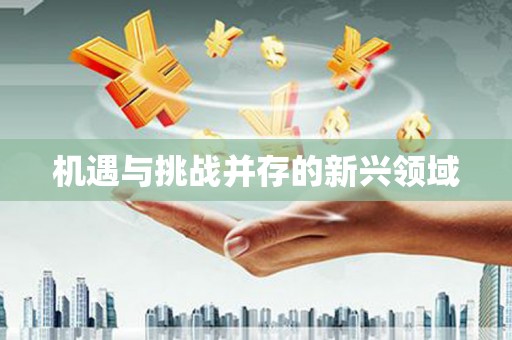 盐田机遇与挑战并存的新兴领域
