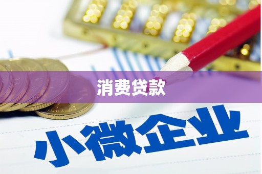盐田消费贷款