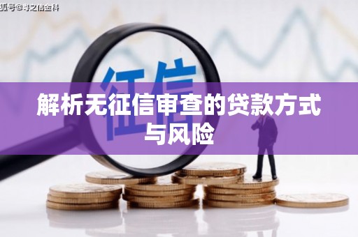 盐田解析无征信审查的贷款方式与风险