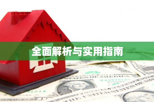 盐田全面解析与实用指南
