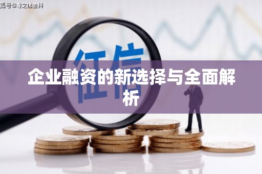 盐田企业融资的新选择与全面解析