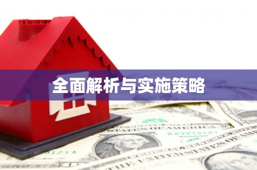 盐田全面解析与实施策略
