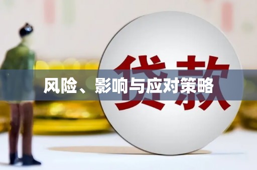 盐田风险、影响与应对策略