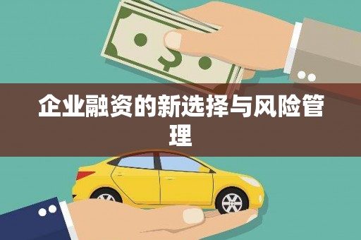 盐田企业融资的新选择与风险管理