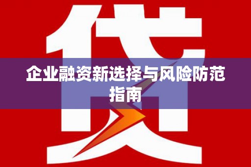 盐田企业融资新选择与风险防范指南