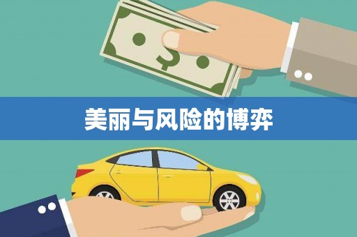 盐田美丽与风险的博弈