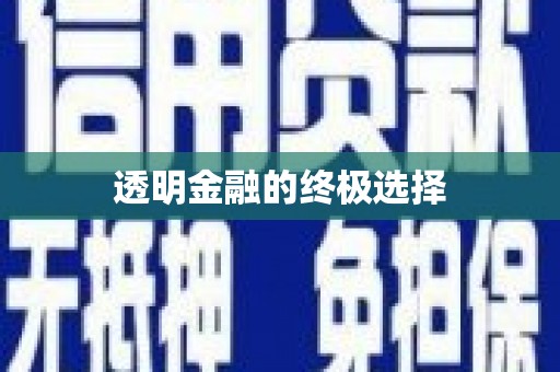 盐田透明金融的终极选择