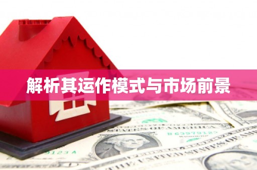 盐田解析其运作模式与市场前景