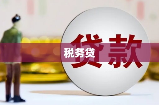 盐田税务贷