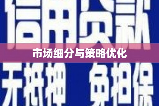 盐田市场细分与策略优化
