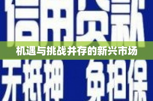 盐田机遇与挑战并存的新兴市场