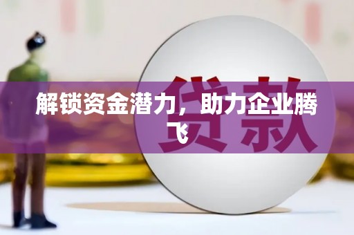 盐田解锁资金潜力，助力企业腾飞