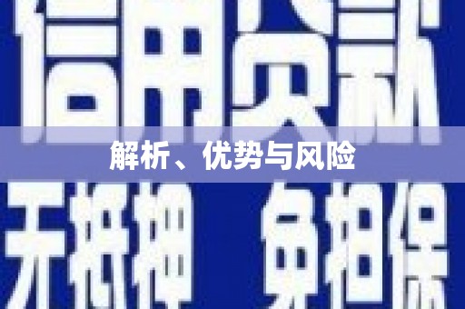 盐田解析、优势与风险