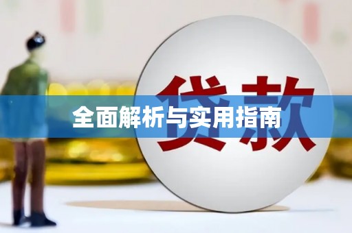 盐田全面解析与实用指南