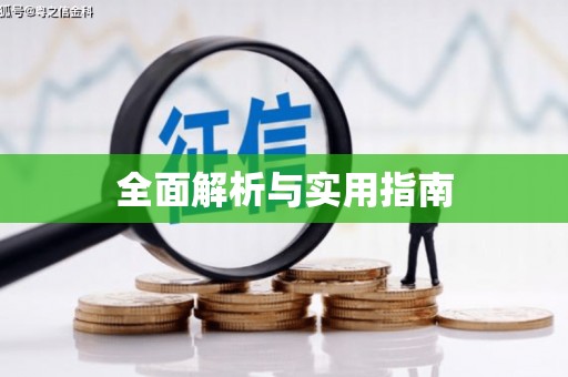 盐田全面解析与实用指南